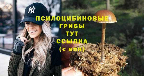 гидропоника Нефтекумск